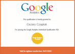 Google Analytics Individual Qualification